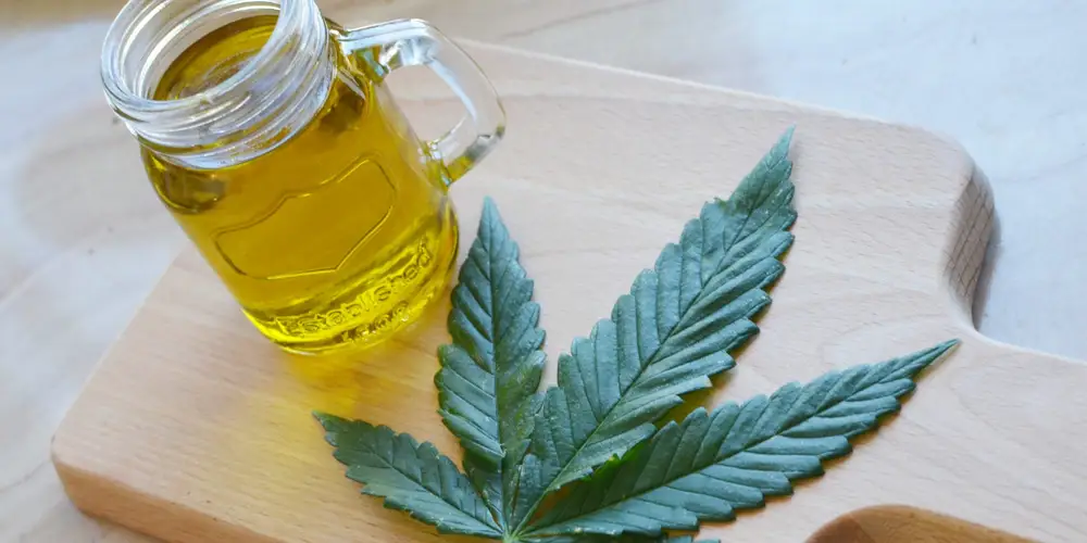 making rso with olive oil - % 3 Cannabis-Infused Olive Oil