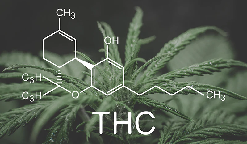 thca vs delta 8 - % 3 Delta 8 THC