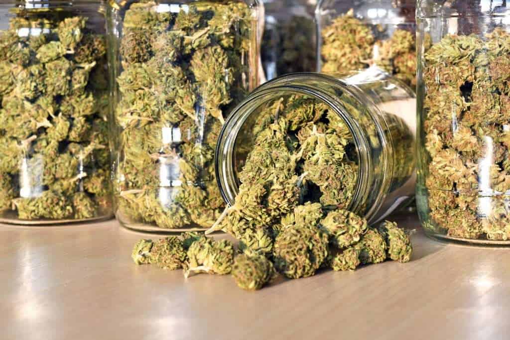 thca vs delta 9 - % 2 Tetrahydrocannabinolic Acid