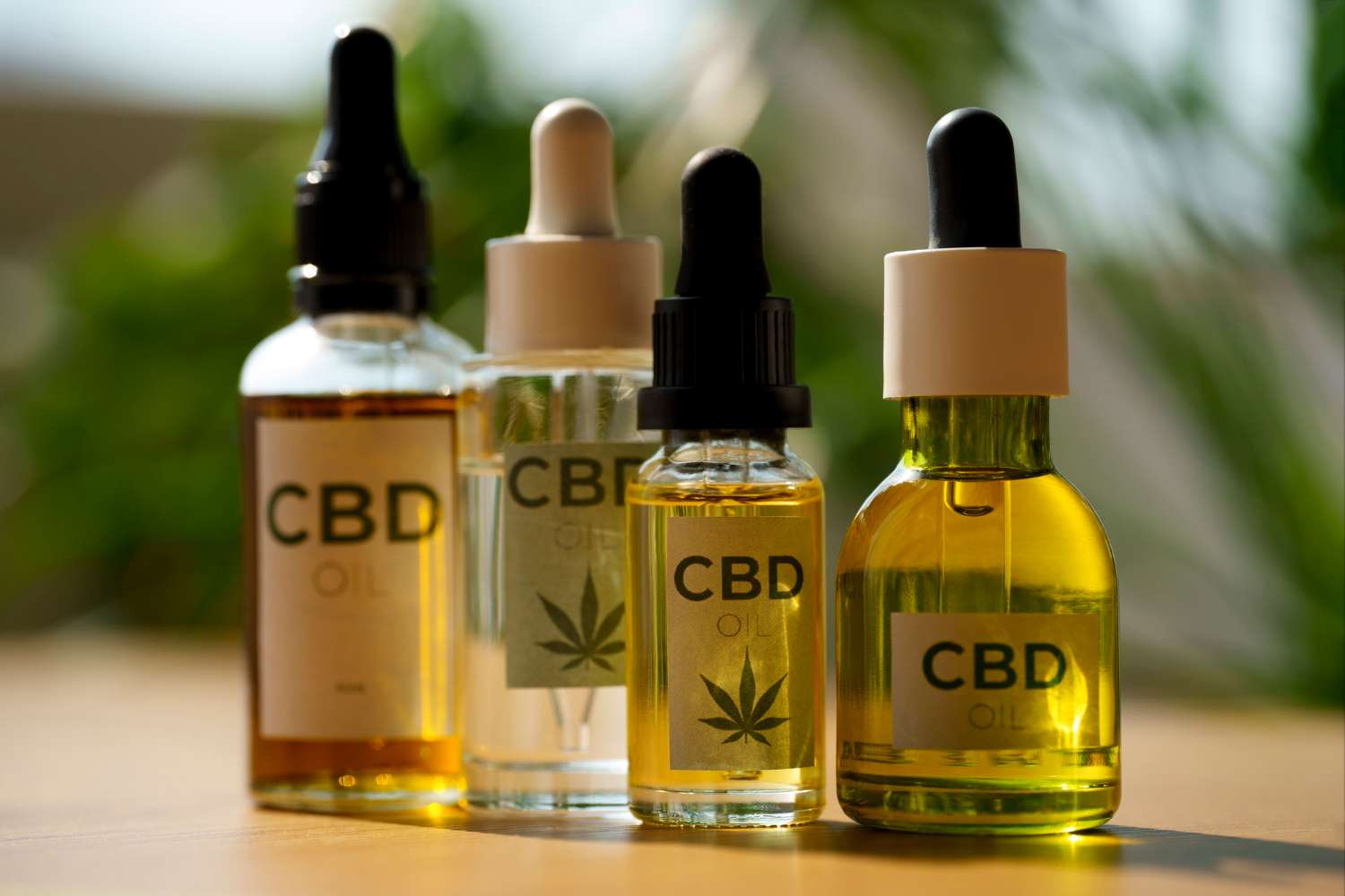CBD Store in Portland