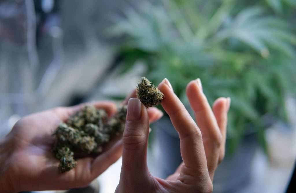 Portland Oregon Dispensary Prices - % 4 Urban Farmacy: The Best Dispensary in Portland